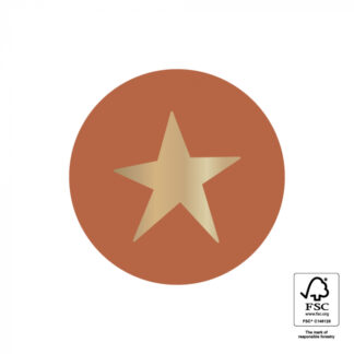Sticker Stern auf Terrakota