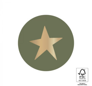 Sticker Stern auf Tannen-Grün