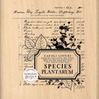 Holzstempel 'Species Plantarium'